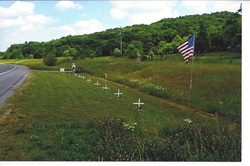 Picture roadside memorial maintained by local residents